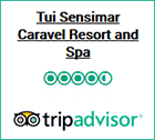 trip advisor badge 1