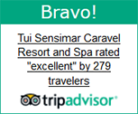 trip advisor badge 2